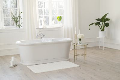 Elegant Bathtub Setup